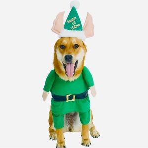 Green Elf Dog Costume